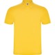 Polo Austral