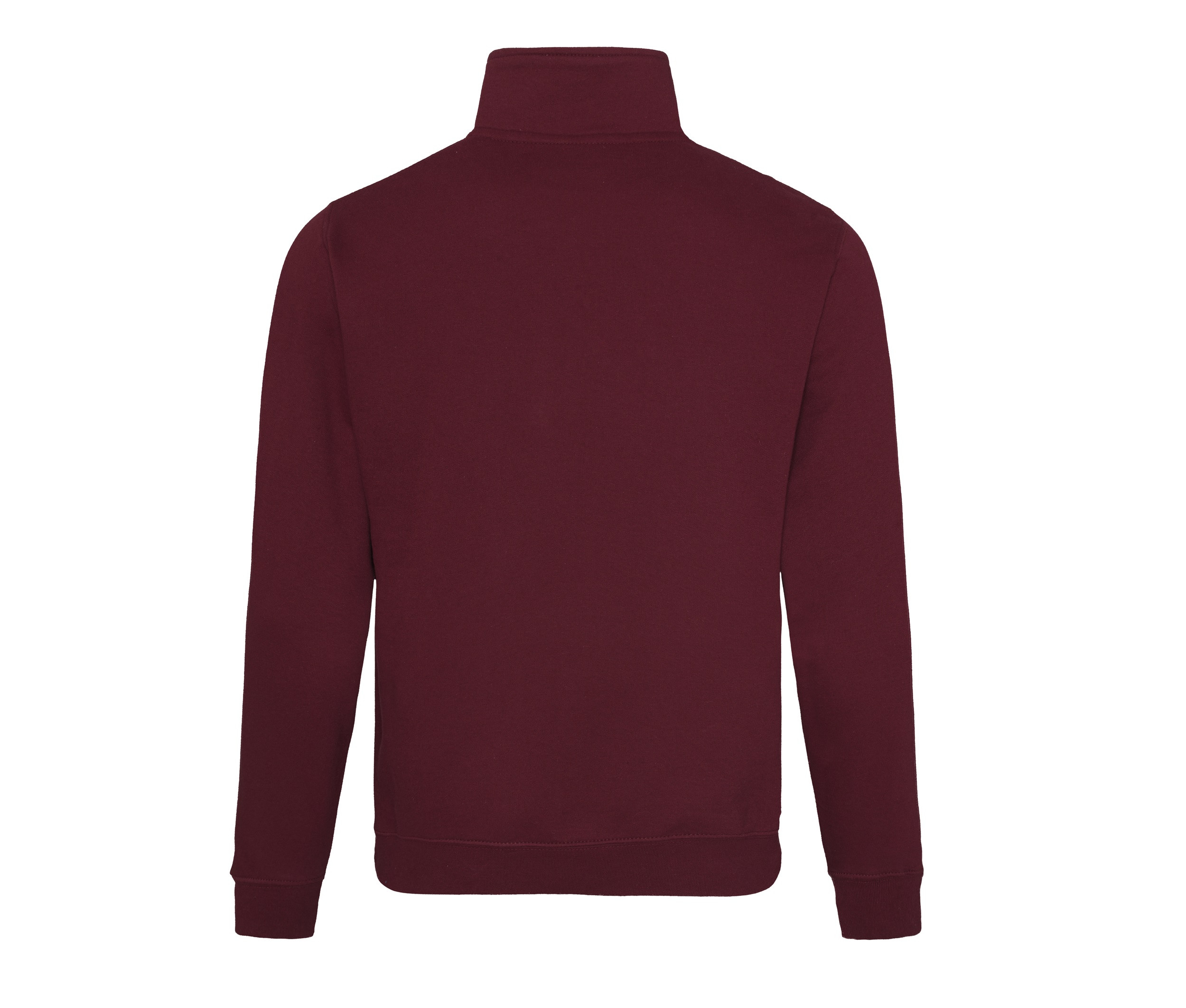 SOPHOMORE 1/4 ZIP SWEAT - vue 2