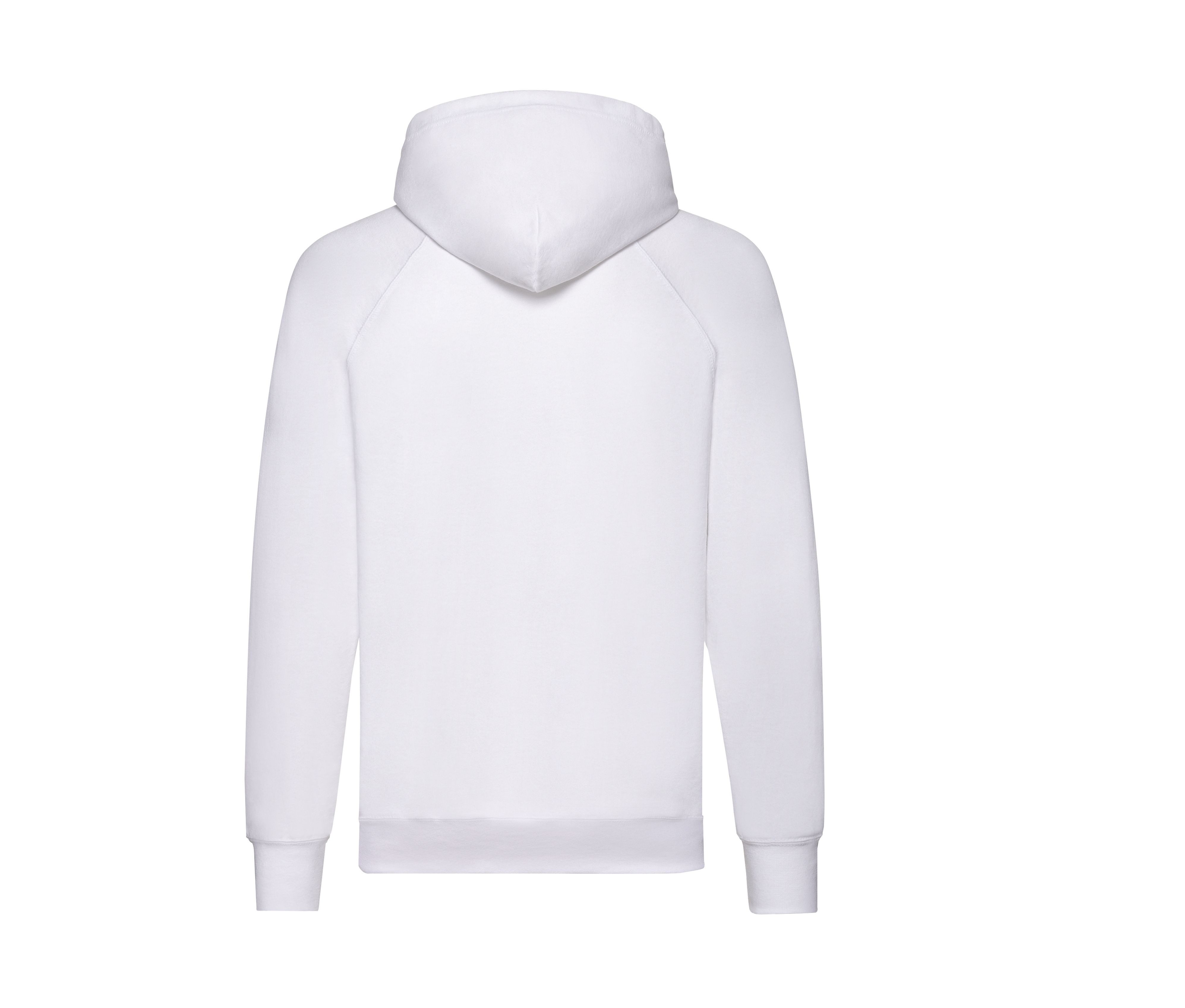 LIGHTWEIGHT HOODED SWEAT - vue 3